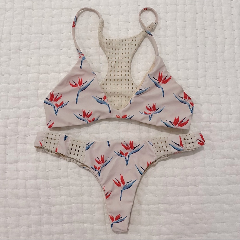 Acacia bird of paradise set M